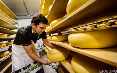 Импорт сыров в Украину резко вырос