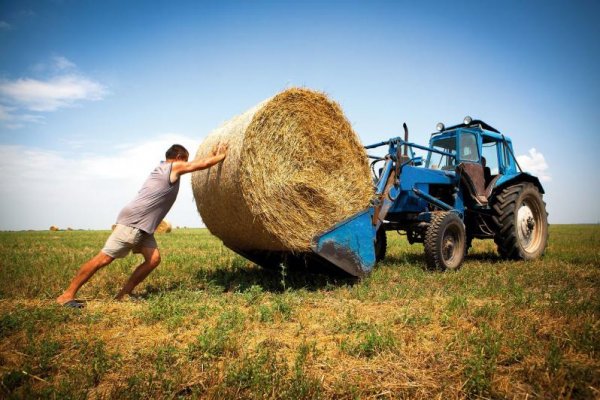 Фермеры Калужской области обсудили развитие сельского хозяйства РФ на Всероссийском форуме сельхозпроизводителей