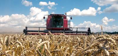 Экспорт украинских зерновых снизился