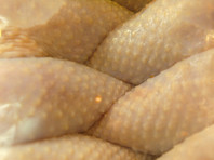 Россельхознадзор выявил канал поставок контрабандных куриных окорочков из США