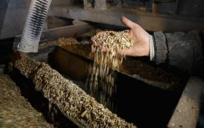 Украина снизила экспорт зерновых