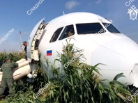 Выплата за севший в кукурузное поле Airbus A321 может стать крупнейшей по авиакаско в России за год